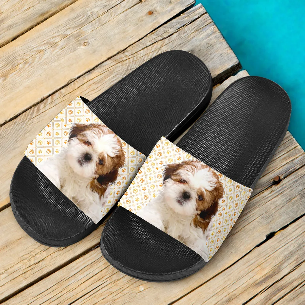 Shih Tzu Slides 1